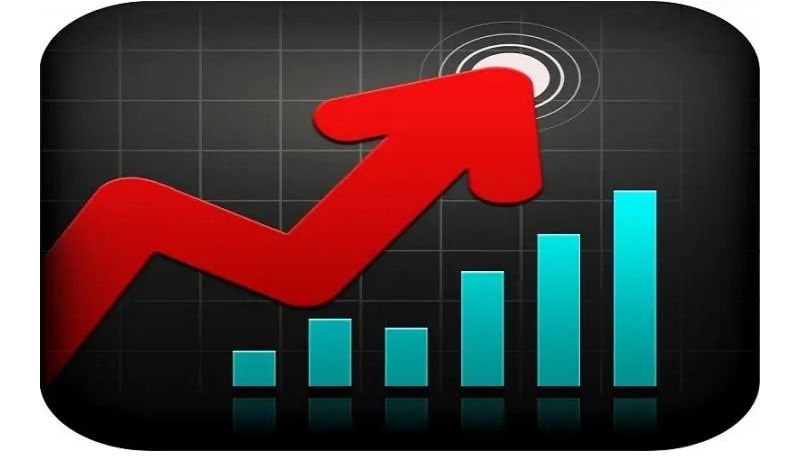 股票配债操作指南：如何把握投资良机